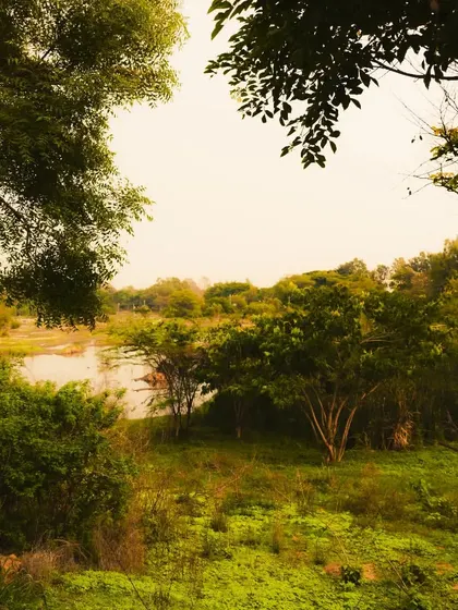 A peaceful, green landscape away from the city. This shot captures the tranquility of nature and offers a break from the urban scenes.