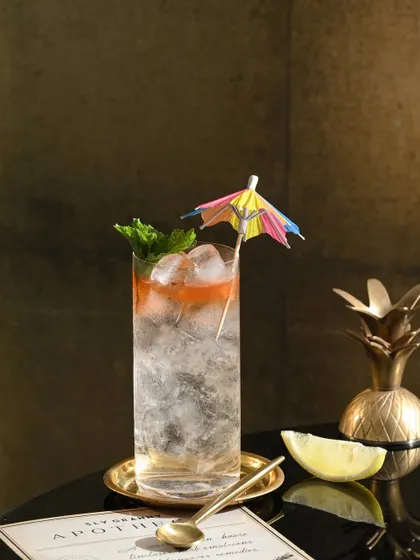 The Rochelle, a refreshing highball cocktail that's perfect for a warm evening. The mint and lime make it an easy, breezy sipper.