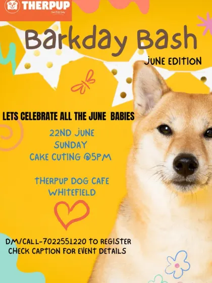 This poster details our June Barkday Bash, highlighting the perks for birthday families like discounts and goodie bags. Pre-registration is key to get all the benefits!
