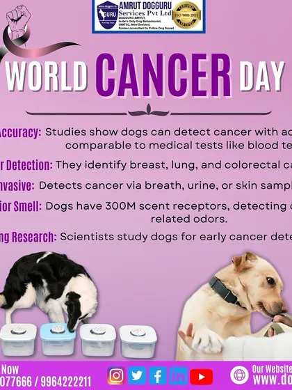 On World Cancer Day, it's amazing to remember that a dog's superior sense of smell can detect cancer with high accuracy. They are truly life-savers.