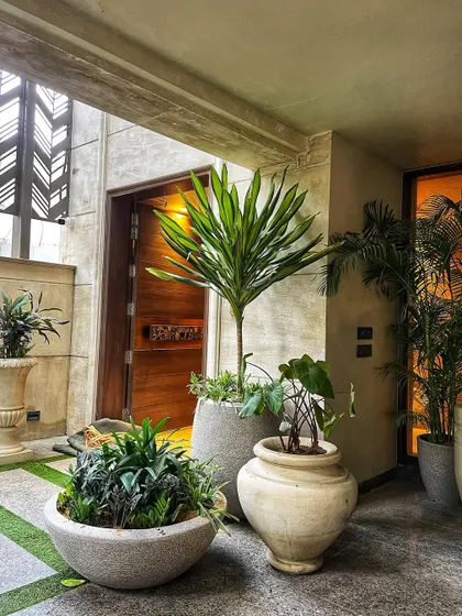 This entryway is a perfect example of our plantscaping philosophy. We've used a variety of plants and our signature textured pots to create a welcoming and layered look that feels like a mini-jungle.