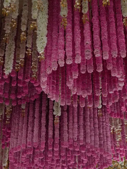 A view from inside the golden mandap, looking up at the dense ceiling of pink and white floral strings. It felt like standing under a sky of flowers.