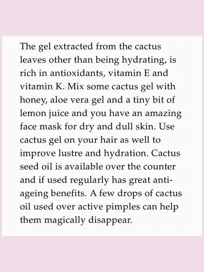 As I explained to Lifestyle Asia, the gel extracted from cactus is rich in antioxidants, Vitamin E, and Vitamin K. Cactus seed oil also has great anti-aging benefits and can even help with active pimples.