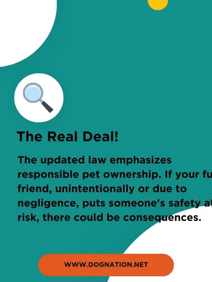 This graphic reinforces the core message of the updated pet law: responsible ownership is key, and negligence can lead to consequences.