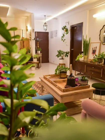 Another angle of my plant-filled living room. I use plants of different heights and textures to create a mini indoor jungle.