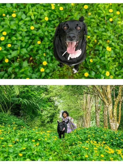 A collage showing a girl and her dog running through a field of flowers, capturing pure joy and movement.