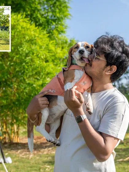 A collage showing the fun and energy of a Beagle's outdoor shoot. June's boundless energy and love for exploring made for some fantastic action shots.