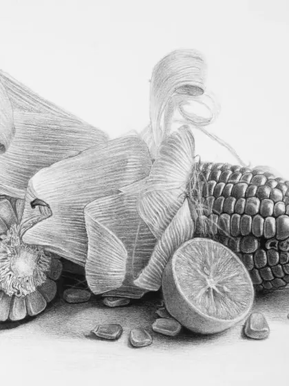 A step-by-step collage of the corn still life, showing the drawing's progression.