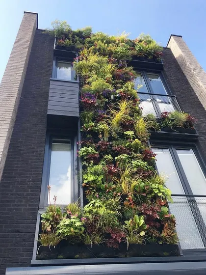 A multi-floor vertical garden installed on a residential or commercial building, showcasing how I can work with existing window and balcony structures.