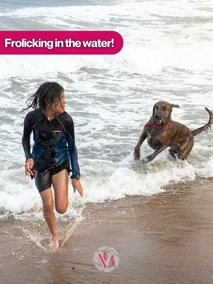Pure, unadulterated joy. A girl and her dog frolicking in the waves at the beach, a perfect example of an unposed, action-filled moment.