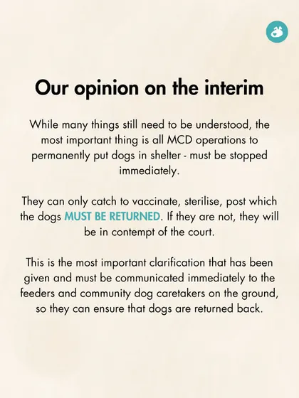 Our analysis of the Supreme Court's interim order. We emphasized the most critical point: MCD operations to permanently shelter dogs must stop, and dogs must be returned to their localities post-ABC, as per the law.