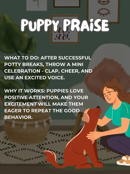 Don't underestimate the power of "Puppy Praise." After a successful potty break, celebrate with clapping and an excited voice. They love the positive attention.