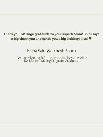 Shifu's guardians sending a big thank you to the whole team.