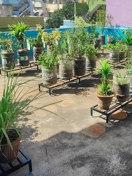An organized terrace garden using our multi-pot stands. This setup not only protects the floor but also creates a tidy, multi-level display, maximizing the number of plants you can have in a small space.