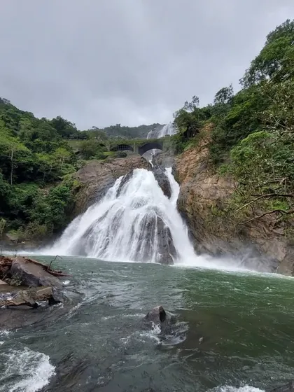 Looking up at the magnificent Dudhsagar Falls from the riverbed. The scale of the falls from this perspective is truly awe-inspiring.