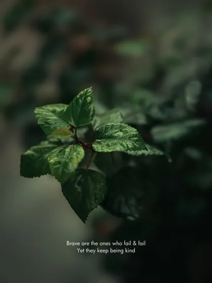 Close-up of wet leaves. The cool, dark tones give this simple nature shot an introspective and calming quality.