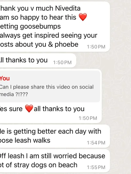 My client giving me permission to share this wonderful moment. These stories inspire so many other pet parents who are struggling.