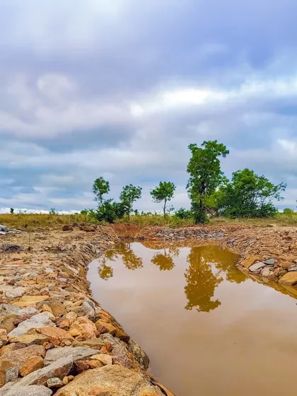 A rock pool, one of our key water harvesting features. These simple but effective structures slow down water flow, allowing it to percolate into the ground and nourish the surrounding ecosystem.