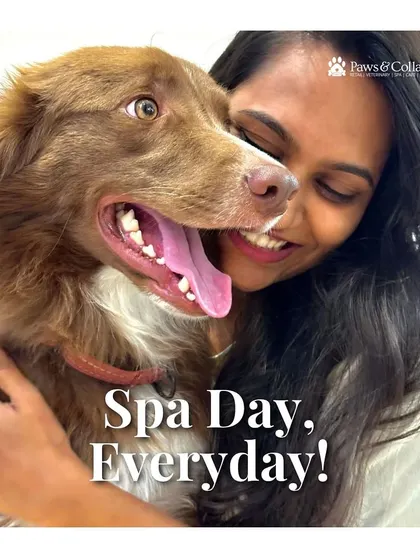 Spa Day, Everyday! This happy image of a pet and parent reminds you that you can extend that fresh-from-the-groomer feeling with a daily spritz of Ava Naturals.