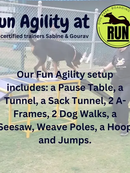 A closer look at the dog walk obstacle. We ensure all our equipment is safe and sturdy for dogs of all sizes to build their confidence and skill.
