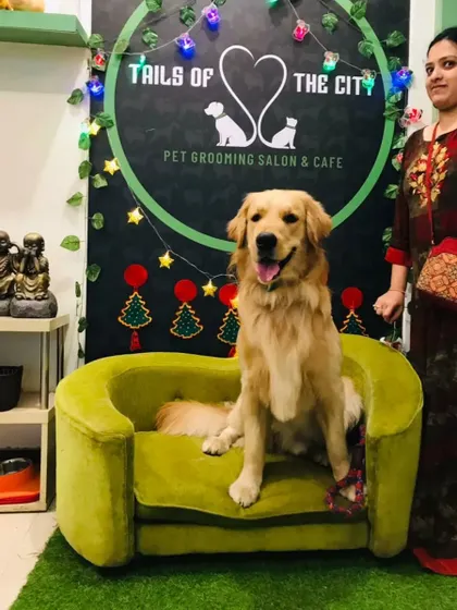 A happy client with her beautifully groomed Golden Retriever, ready for the holidays. We love being part of your festive preparations.