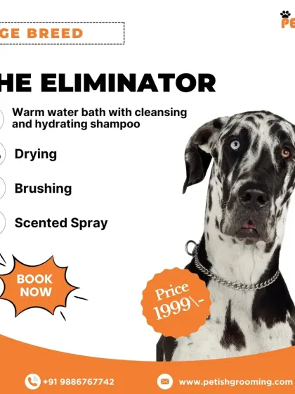 Large breeds can enjoy "The Eliminator" package for ₹1999. This service is perfect for managing shedding and keeping your big dog's coat in top condition.
