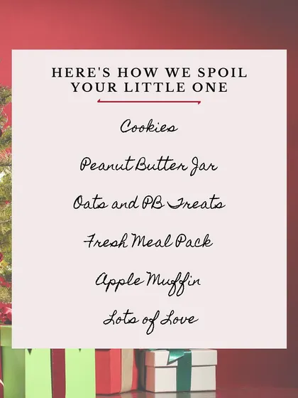 Here is everything your little one gets in our special gift box. It includes cookies, a peanut butter jar, oat treats, a fresh meal pack, an apple muffin, and of course, lots of love.