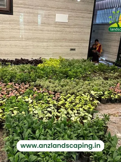 An identical image showing the variety of foliage and color we use to create a textured and visually interesting living wall.