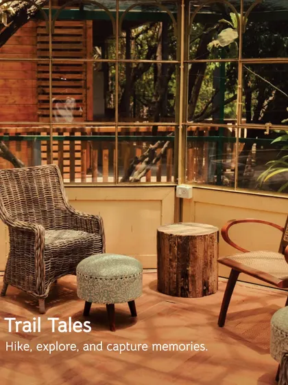 A quiet corner in our glasshouse, perfect for reading, conversation, or simply enjoying the view of the trails and trees.