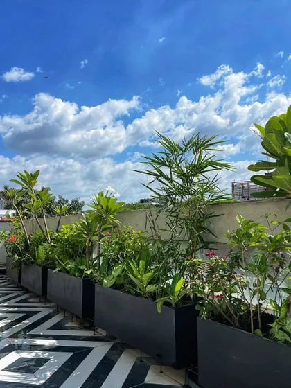 Nothing beats a clear blue sky as a backdrop for a beautiful terrace garden. Our black FRP planter boxes filled with a variety of plants create a stunning skyline view.