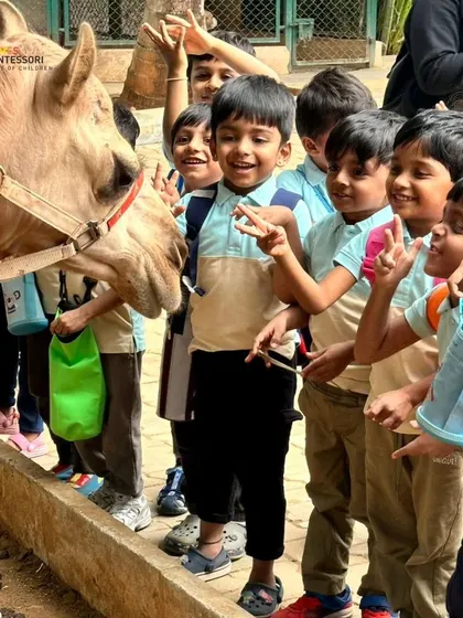 Children get up close with a gentle animal on a farm visit, learning about zoology and empathy in the most direct way possible.