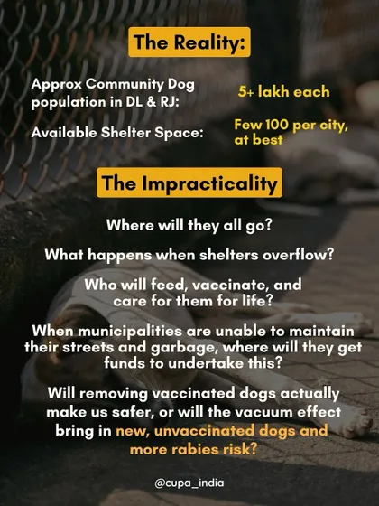 This graphic illustrates the impracticality of the mass removal order. With over 5 lakh community dogs in Delhi & Rajasthan and minimal shelter space, the plan was a disaster in the making.