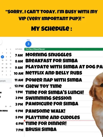 This schedule is relatable AF for so many pet parents. I'm happy to see that a "swimming session" is a key part of this Very Important Pup's day. It's a great way to break up the routine of naps and walks.