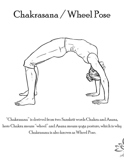 Chakrasana (Wheel Pose) is a deep backbend that strengthens the spine, tones the arms and legs, and stimulates the heart, lungs, and nervous system.