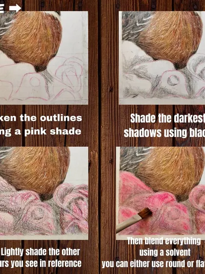 A step-by-step tutorial collage showing how I layered colors to draw the realistic red roses.