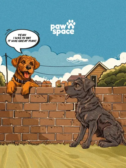 "Yeah I was in the UK! It was great man!" We make international travel possible, so your pet can have adventures that are truly world-class.