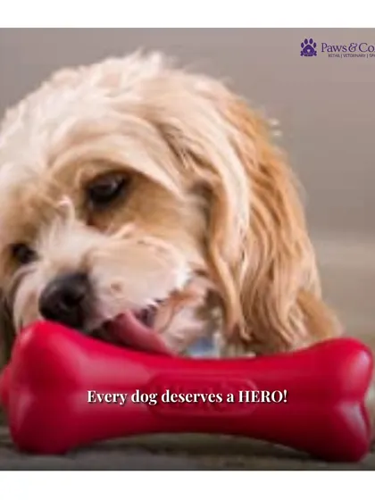 Every dog deserves a HERO. This image shows a dog happily chewing on the Hero Action Bone Dog Toy, which is designed for durability and to promote healthy teeth and gums.
