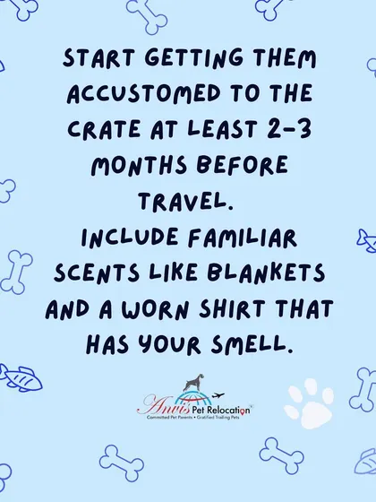To make the crate feel like home, start getting your pet accustomed to it 2-3 months before travel. Include familiar scents like their favorite blanket or a worn shirt that has your smell on it.