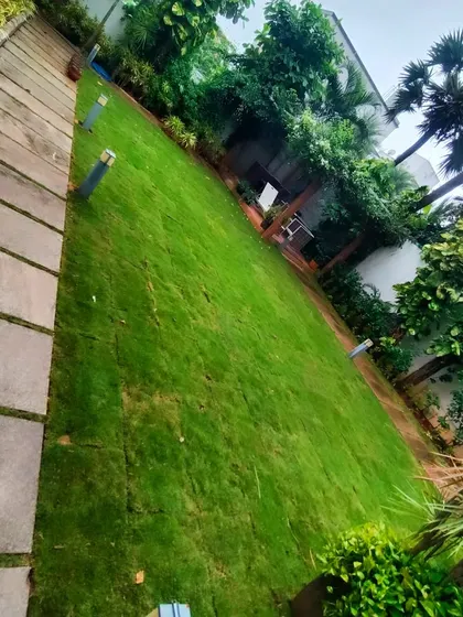 Another angle of this modern backyard retreat, showing the clean lines of the stone pathway next to the expansive lawn.