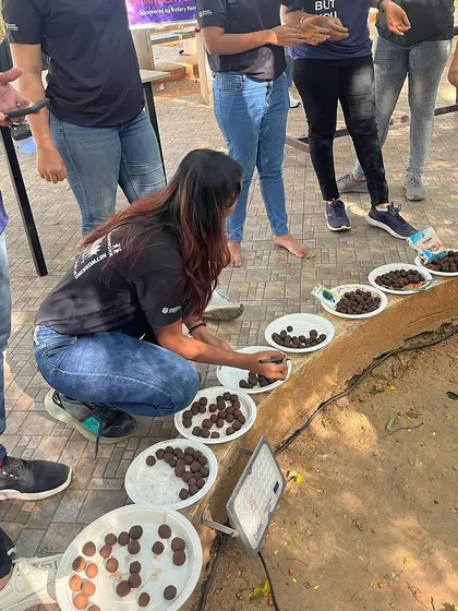 Students lining up their freshly made seed balls to dry. Each ball contains native seeds, ready to be dispersed and grow into new plants.