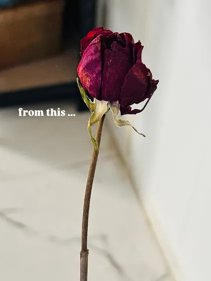 This is where the magic begins. A single, dried rose, full of memories, waiting to be transformed into a piece of forever jewelry.