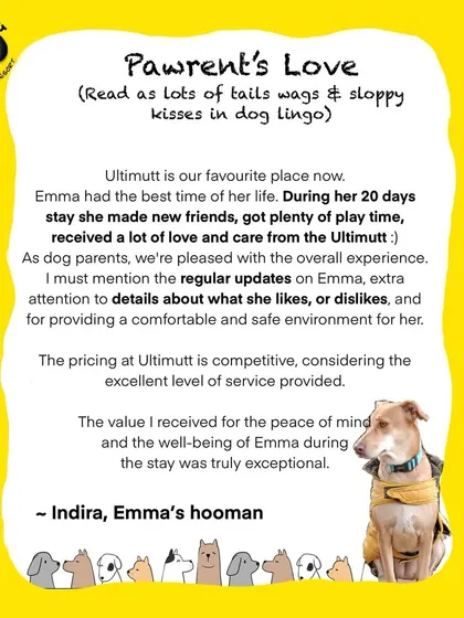 Emma's 20 day stay was a joy for all of us. Her mom, Indira, was pleased with the detailed attention we gave to Emma's likes and dislikes, ensuring her long stay was comfortable, safe, and full of new friends.