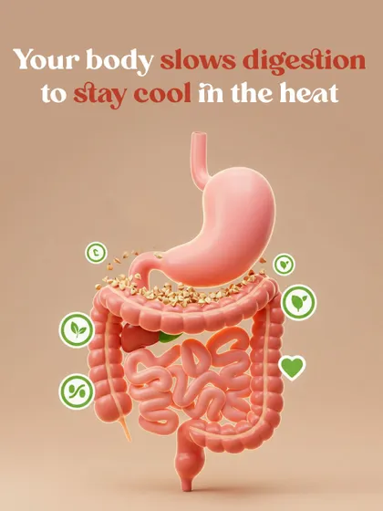 Ever wonder why you feel less hungry in the summer? Ayurveda explains that our digestive fire (Agni) naturally decreases to keep the body cool. Understanding this helps you eat right for the season.