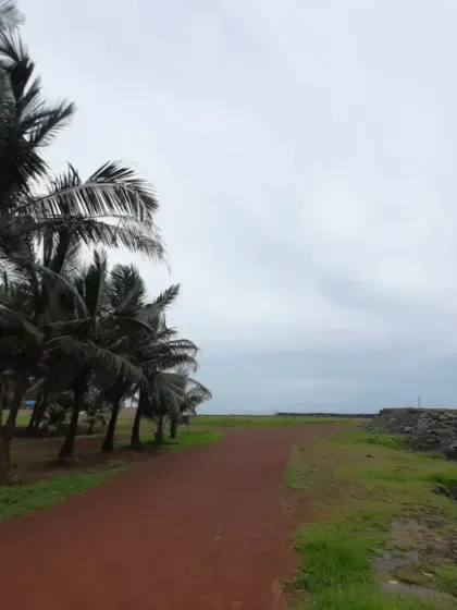 The walking path along the sea, lined with palm trees, is one of the most scenic spots in the park. It's perfect for a jog or a leisurely stroll.
