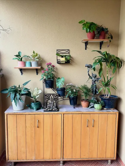 We also salvaged and organized this old cabinet, creating a neat surface to display a collection of plants and decor. Repurposing what you already have is the core of sustainable gardening.