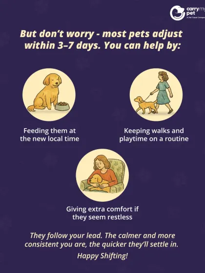 Don't worry, most pets adjust to jet lag within 3-7 days. You can help by feeding them at the new local time, keeping a consistent routine, and offering extra comfort.