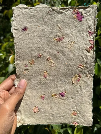 Another look at the rose petal paper. My first attempt at infusing flowers was a great learning experience, and I'm excited to refine the technique.