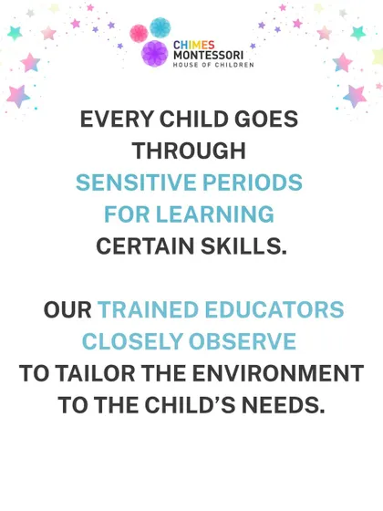 Every child goes through sensitive periods for learning. Our trained educators observe closely to tailor the environment to the child's needs.
