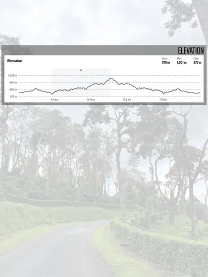 Know your elevation. This chart shows the climbs and descents you'll face, helping you prepare for the challenge ahead.