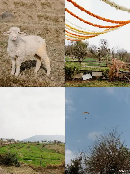 A collage of atmospheric details from the Bir Billing shoot, including the local landscape, a friendly lamb, and a paraglider, all of which add context to the couple's story.